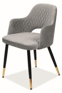 Scaun FRANCO VELVET gri