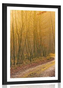 Poster cu passepartout potecă spre pădure