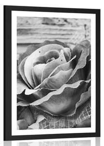 Poster cu passepartout trandafir elegant vintage în design alb-negru