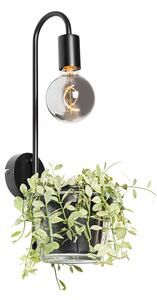 Lampa de perete moderna neagra cu sticla - Roslini