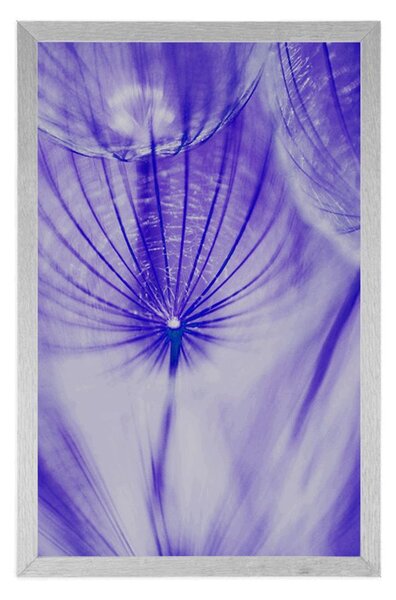 Poster păpădie în design violet