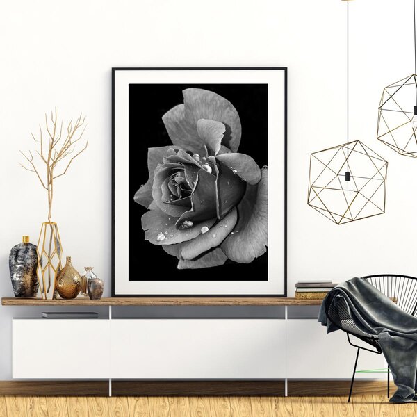 Poster - Floare de trandafir (A4)